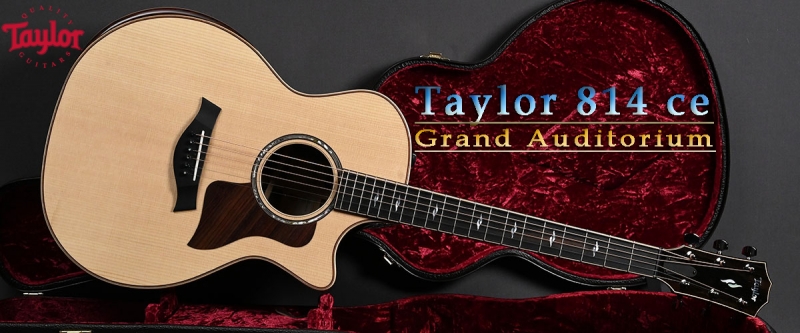 https://guitarplace.de/en/steelstring-guitars/taylor/800er/322/taylor-814ce-v-class?c=1150
